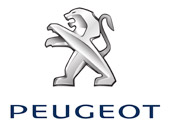 peugeot usata